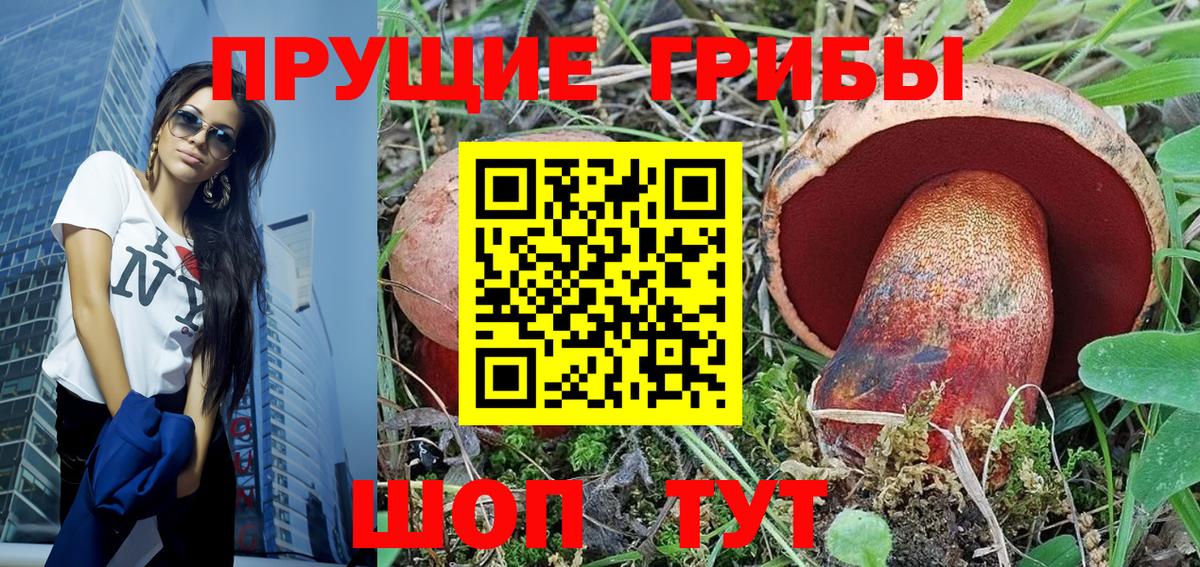 Галлюциногенные грибы Cubensis  магазин продажи   Кунгур  Галлюциногенные грибы MAGIC MUSHROOMS  Вход с VPN 